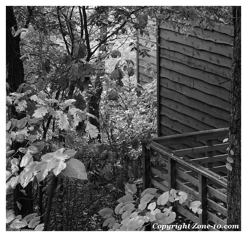 PA184115-bw-web
